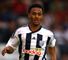 Roofe image